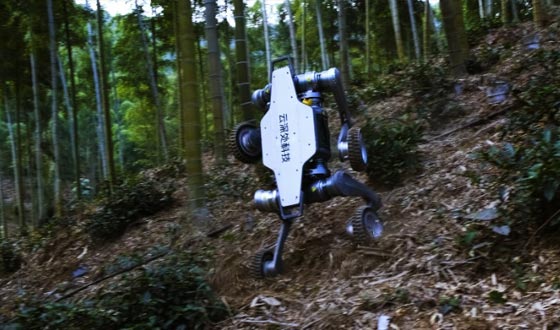 Z6尊龙(中国)集团山猫