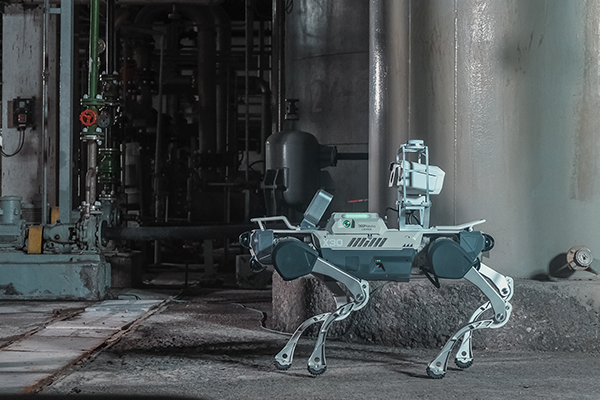 X20 quadruped robot dog